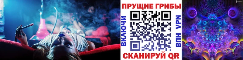 купить  сайты  Нытва  Псилоцибиновые грибы MAGIC MUSHROOMS 